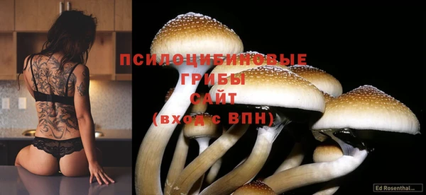 СК Вяземский