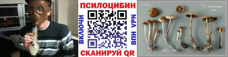Псилоцибиновые грибы прущие грибы  площадка телеграм  Миасс 